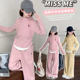 女童春装套装2025新款小女孩刺绣假两件休闲卫衣阔腿裤儿童两件套