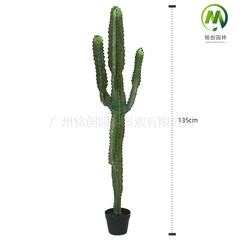 Decoración de paisajismo de plantas falsas en el desierto tropical image 18
