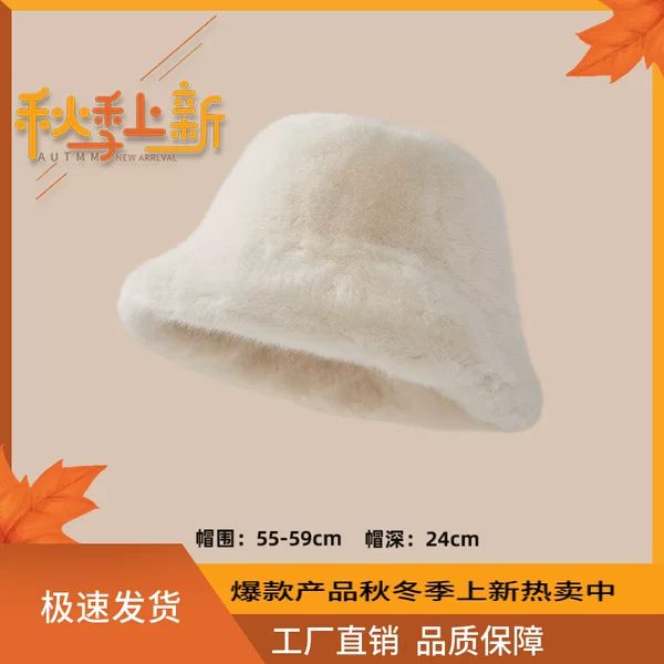 South Korea Mink Hat Women's Plush Fisherman Hat Winter Bucket Hat All-match Korean Style Ins New Warm Basin Hat