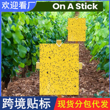 20Ƭ�p��ճ�x���T�x���S�{����E�R��@�߲˴�����@��x��