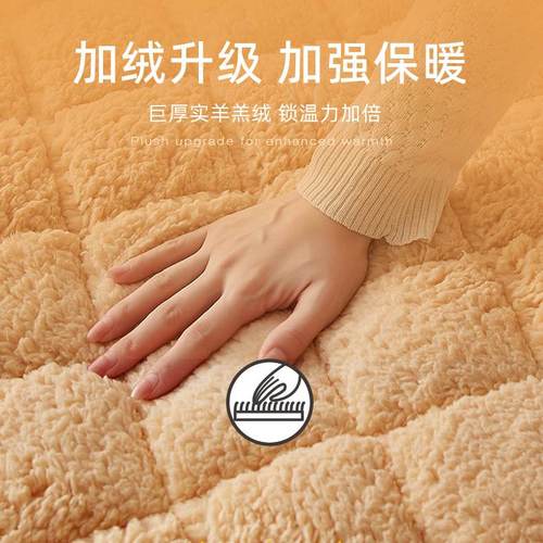 Wholesale Lamb Wool Mattress Lamb Fleece Student Dorm Single Soft Pad Thick Warm Coral Wool Milk Wool Winter