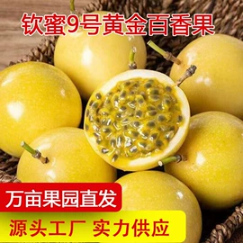 苹果;其他水果;梨