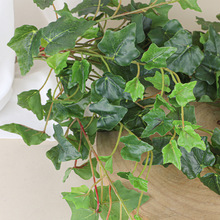 ع~ڒֲٗlbGֲٻɽ