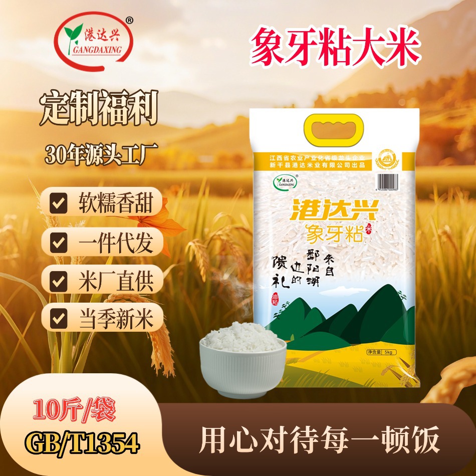 厂家批发25年大米10斤一袋当季大米5斤一袋长粒香大米煲仔饭专用