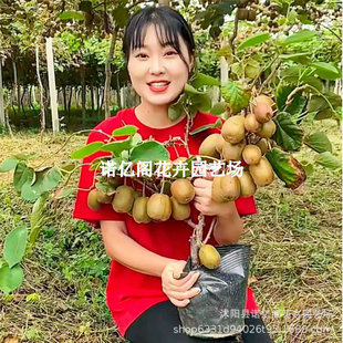 �J���Ҙ����t��ܛ���J����������޽��ϱ����NֲͥԺˮ�������