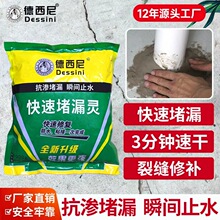 堵漏王快干水泥水不漏水泥地面修补卫生间屋顶裂缝速干填缝胶神器
