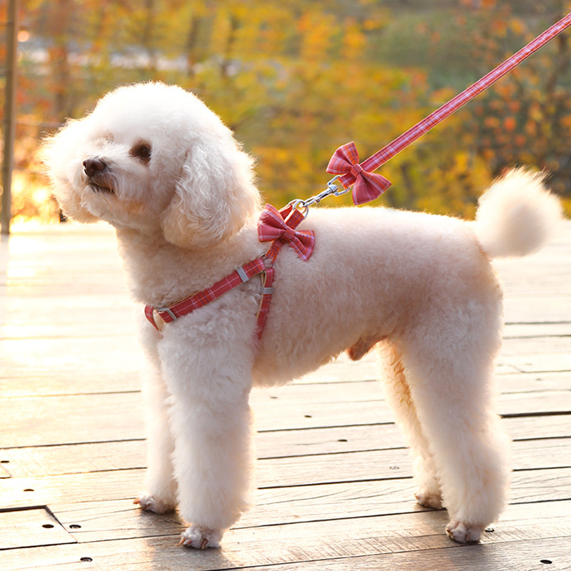 Cuerda de tracción para mascotas, correa para el pecho para mascotas, lazo a cuadros pequeño, lazo para gatos, lazo para perros pequeños y medianos, cadena para perros