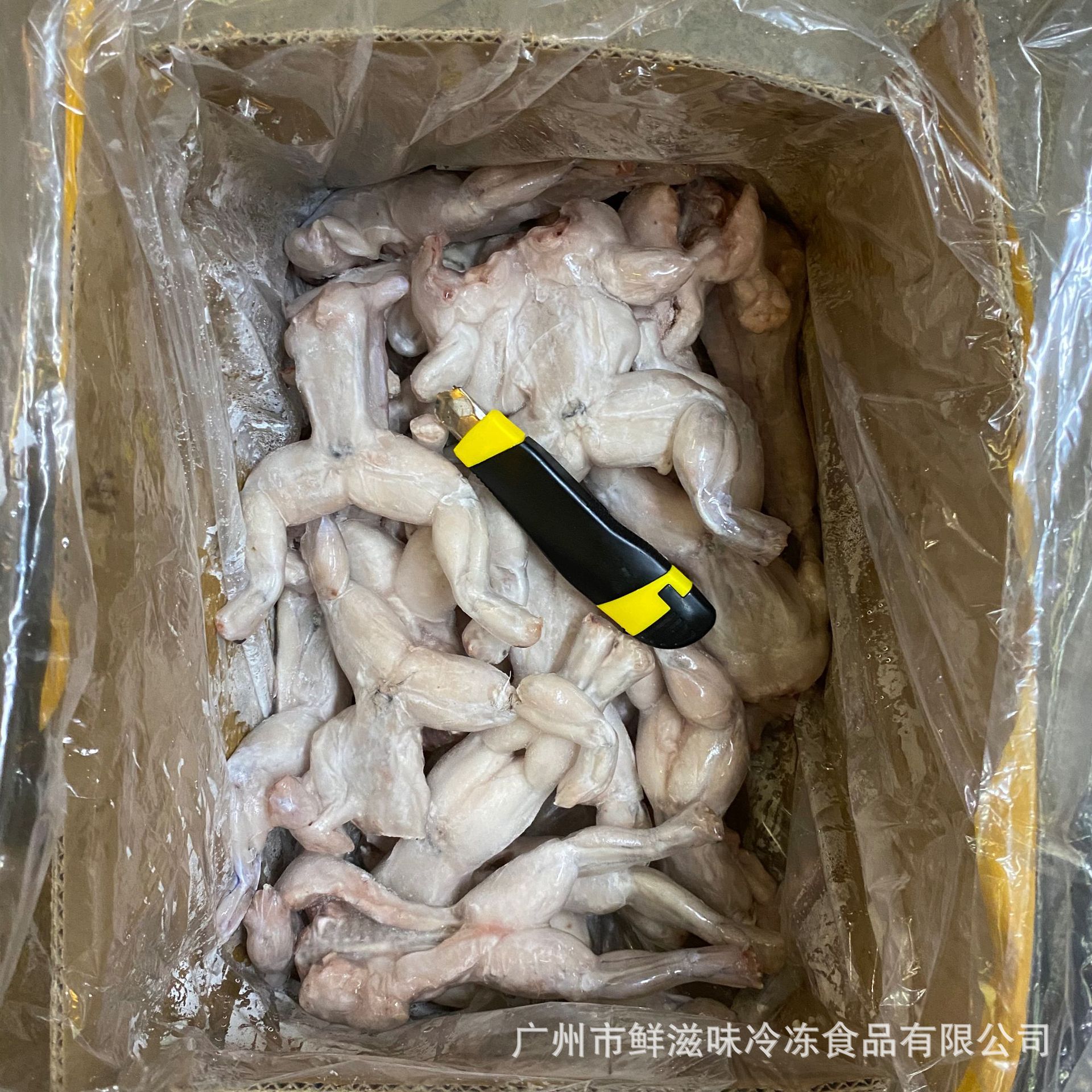 牛蛙单栋大牛蛙铁板牛蛙田鸡牛蛙牛蛙烧烤 餐饮食材净重约5斤商用