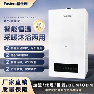 Gas Wall Mounted Boiler Foshiya Home Heating Furnace Heating Solution Energy Saving Domestic Hot Water Stainless Steel Material