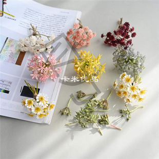 ���������㻨�y�ڻ���ʾ�С�׹��M���Ǽٻ��[��ä���b�Ʒ