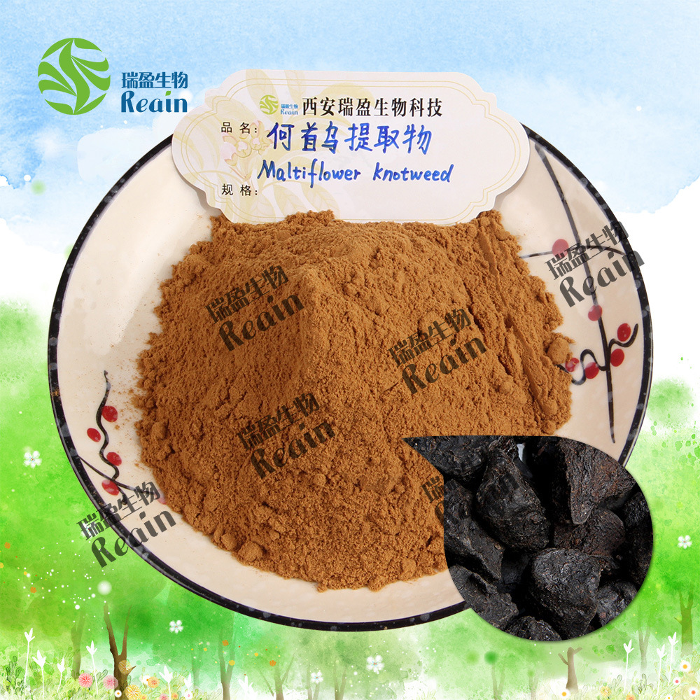  何首烏提取物10:1比例 何首烏粉 何首烏提取物1kg起訂