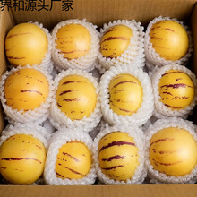 2025����A�����������ʯ�ֹ������rˮ���˅��������S���