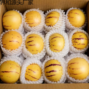 2025����A�����������ʯ�ֹ������rˮ���˅��������S���