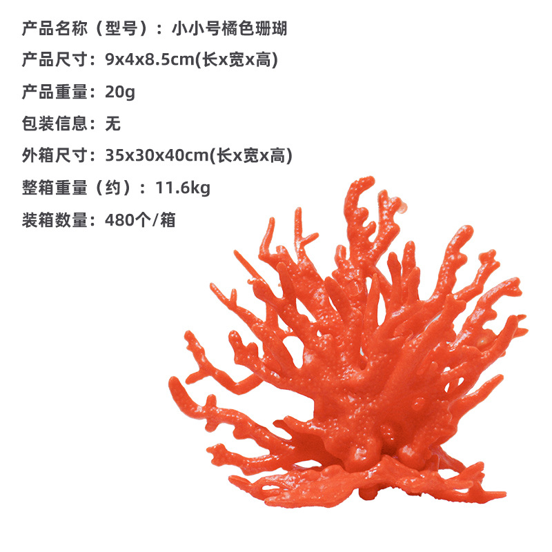 Coral naranja pequeño