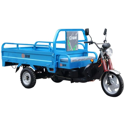 Mobility Scooter — Guowei Auto Parts and Accessories