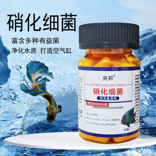 ���������~�׌����z��ˮ�����~�û���ɷ��B�~�~șˮ�����^�p�~