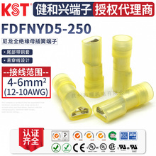 KST健和兴FDFNYD5-250尼龙全绝缘 带铜套母端子 6.3插簧 UL认证