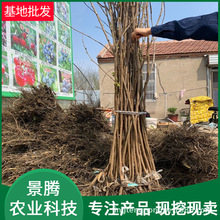 �޽����Ә��� ����ֱ�N Ʒ�Nȫ �߶�1������ �F�ڬF�u���Ә���