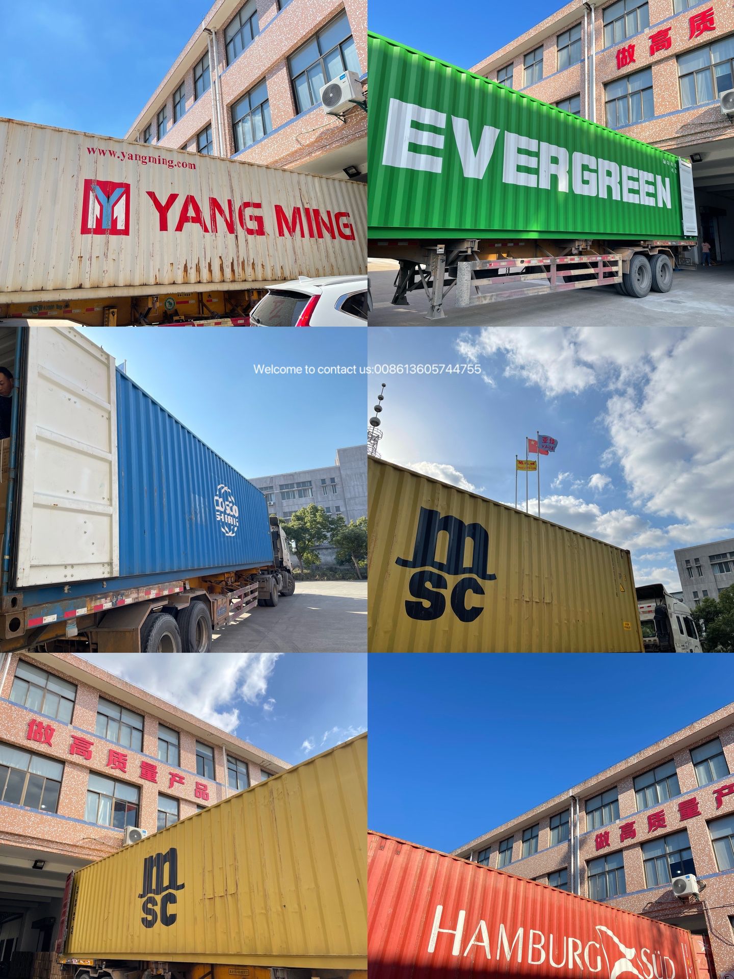 IMG_0081(20240228-161133)