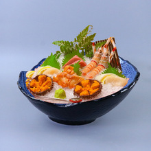 日式陶瓷刺身碗三文鱼刺身盘冰盘海鲜拼盘不规则沙拉碗烤肉店餐具
