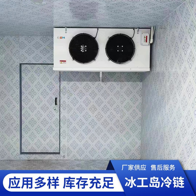 冷冻柜/冷却器/冷藏/冷藏室带肉类/蔬菜/鱼类/水果多功能小型冷库