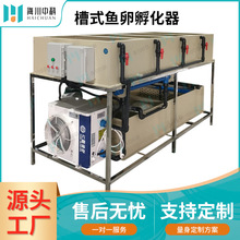 循环水水产养殖孵化系统淡水鱼石斑鱼虹鳟鱼三文鱼鱼苗鱼卵孵化器