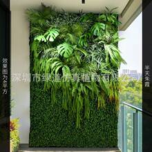 ��������ϼ������ֲ�1ƽ���ٲ�ƺ����������ֲ��������m�G�~