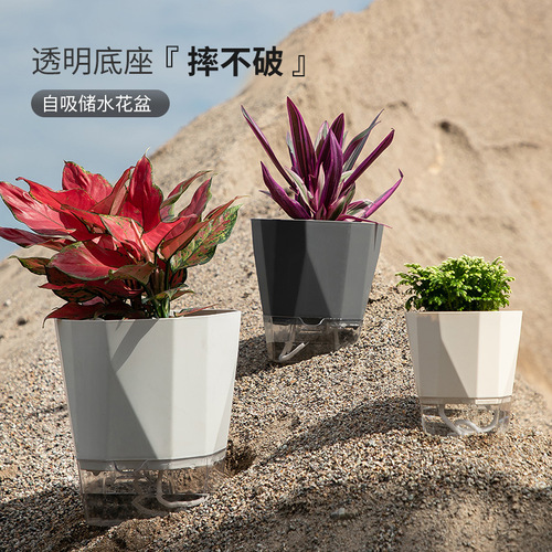 Aquaponic Transparent Home Use Pot Lazy Man Automatic Water Absorption Planter Pot Net Red Carpet Lightweight Luxury White Resin Plastic Large Water Storage Pot