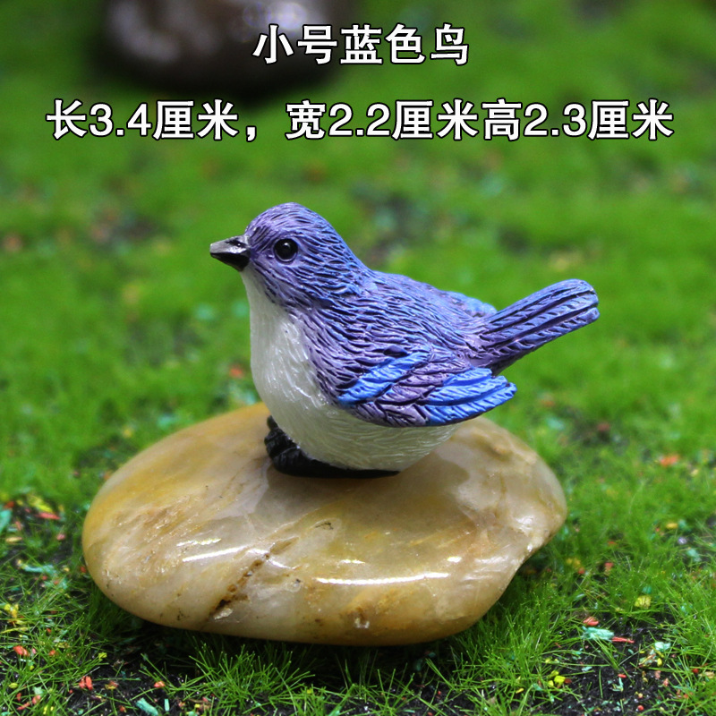 Oiseau bleu de petite taille
