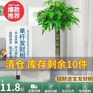 ���;Gֲ�lؔ�����U�����߿͏d�k���҆��w���ԃ����͚�����ȩ��ؔ