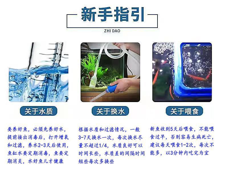 4bc4ff8f-2adf-4436-86aa-58a5d4dc9503.jpe