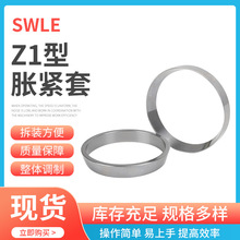 Z1-18X22IÛoYSWLE300ӼCеOÛ N