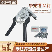 �M�\�Qɢᔽ��\�Q��ᔻ\�ӽM�b�Q�����Q���Bֳ�����u�û\���\�Q