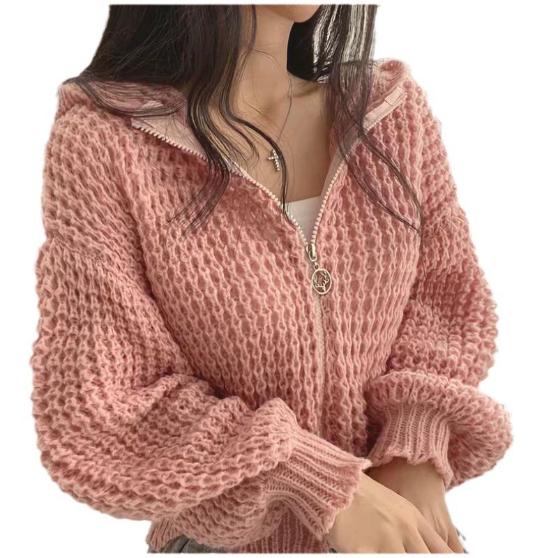 Demi-season Zip Hoodie Sweater (Women), Korean casual chunky knit, one size, zip jacket