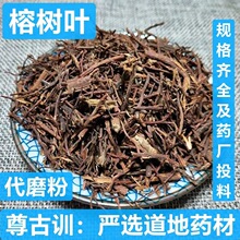 中药材 榕树须 榕须 榕树根 半天吊 榕树须 吊风根 支持药检