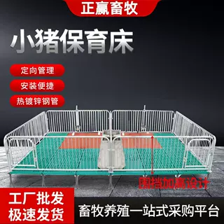 工厂定制加工热镀锌管挡板猪场规模化管理母猪产床加厚小猪保育床