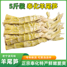 �����خa���β�S5���b �r���������r�}���SҰɽ��⿾�S��