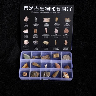 �����ﻯʯ�˱����~�x��ʯ����ԭʯ��ʯ�^��ͯ���|�Y���ԵV����