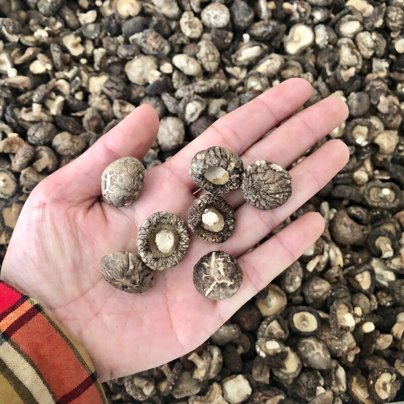 Dried Shiitake Mushrooms from Xixia, Wholesale Supply All Year Round, 500g North and South Dried Goods Available for Single Item Shipping Dried Shiitake Mushrooms from Xixia, Wholesale Supply All Year Round, 500g North and South Dried Goods Available for Single Item Shipping