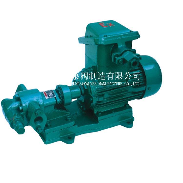 上海出售不锈钢齿轮润滑泵 2CY29-10齿轮油泵 齿轮油泵厂商