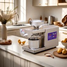 榨油机全自动小型家用家庭式新款多功能冷热商用菜籽油坊炸油机