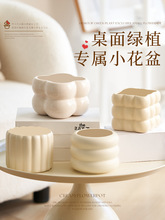 陶瓷花盆北欧家用简约ins风轻奢奶油风蝴蝶兰多肉绿植盆栽盆景盆