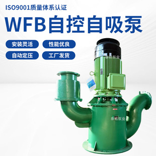 WFB�o�ܷ��Կ������� ��������ˮ�ŷű� �͸��g���I��ʽ������