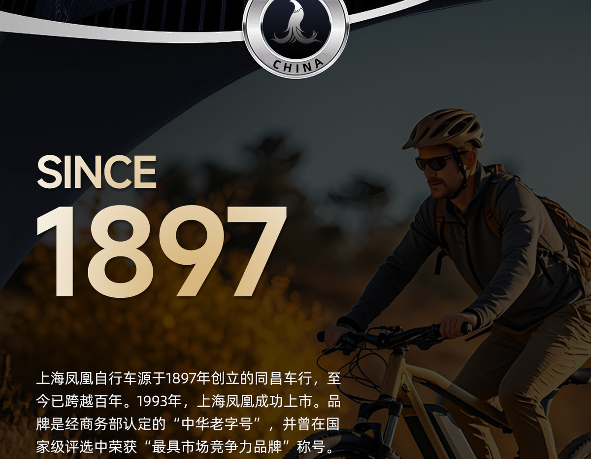Pedal-Powered Electric Motorcycle for Adults with Ultra-Long Battery Life, Suitable for Men and Women Commuting, High-Speed Electric Vehicle That Can Be Registered, Two-Wheeled Electric Motorcycle