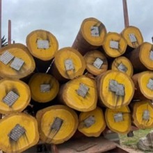 F؛õ tľ ľԭľľ õԭľ