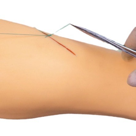 ����Ȳ����ѵ��ģ��/�����ģ��/��Ʒ��ģ��/��֫ģ��