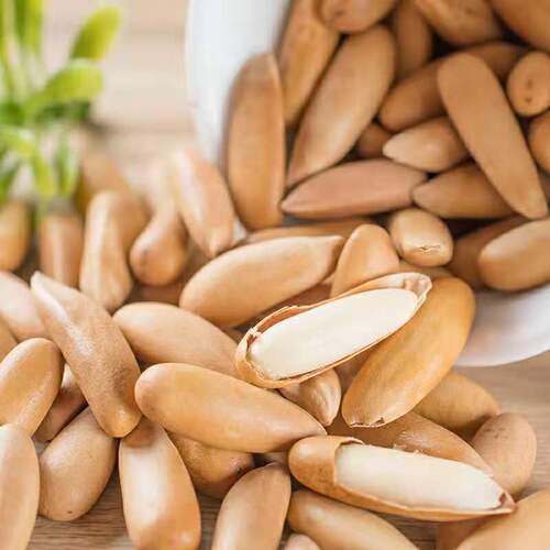 2024 New Arrival Ji'an Hand-Picked Large and Plump Brazilian Pine Nuts as Snacks Wholesale at More Affordable Prices