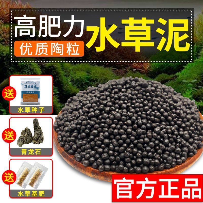 嘘援娉ユ壒鍙戙€愪笉舞枃丸瀀耣ャ€戦櫠绮掔戞枸shoulder a few搴琴爞更曟曟曘昘棌绠 argue