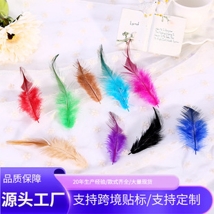 ��ë�F؛���l �t���uë���b���� ���Ʒ���ë ��ɫ�pɫ���u��ë