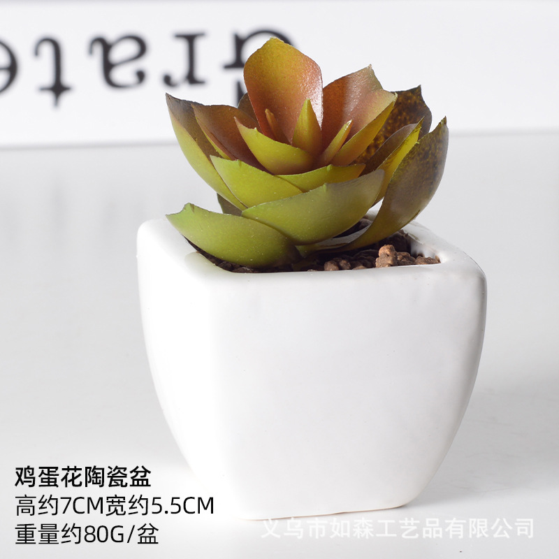 Simulación de cerámica bonsai de carne doméstica decoración de escritorio de oficina plantación verde maceta props de disparo maceta combinada artificial image 23